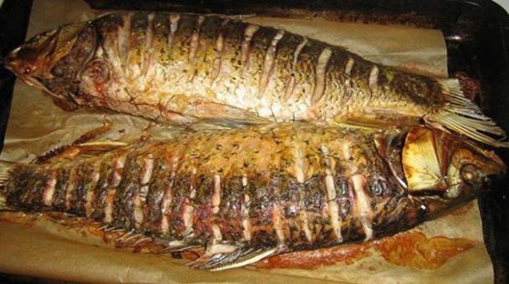Рыба, запеченная в духовке с картошкой и помидорами. Даст фору любой жареной рыбе!