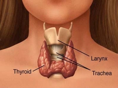 8 признаков сбоев в работе щитовидной железы, которые Вы игнорируете каждый день