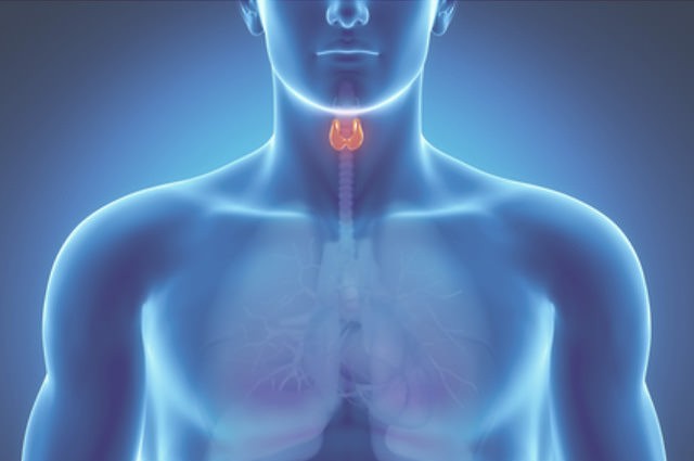 Щитовидную железу можно оздоровить с помощью природных компонентов!