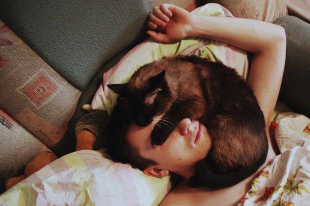 Почему кошки любят спать на хозяевах: несколько интересных причин такого поведения