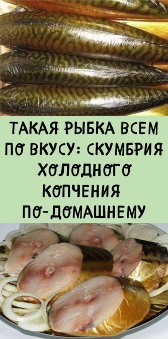 Такая рыбка всем по вкусу: скумбрия холодного копчения по-домашнему