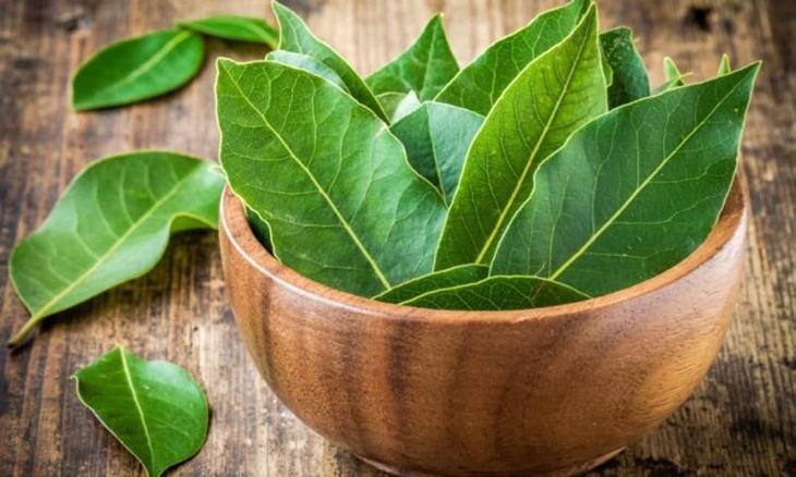 8 полезных свойств лаврового листа для здоровья. Поразительное растение!