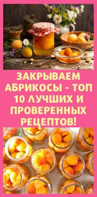 Закрываем абрикосы - топ 10 лучших и проверенных рецептов!