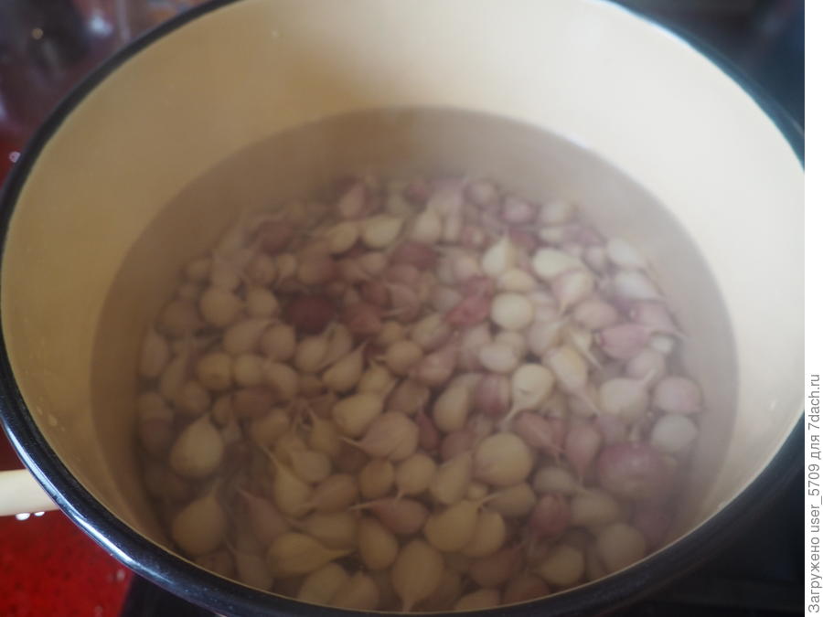 Консервируем на зиму маринованный чеснок - отличная заготовка для самых разных блюд