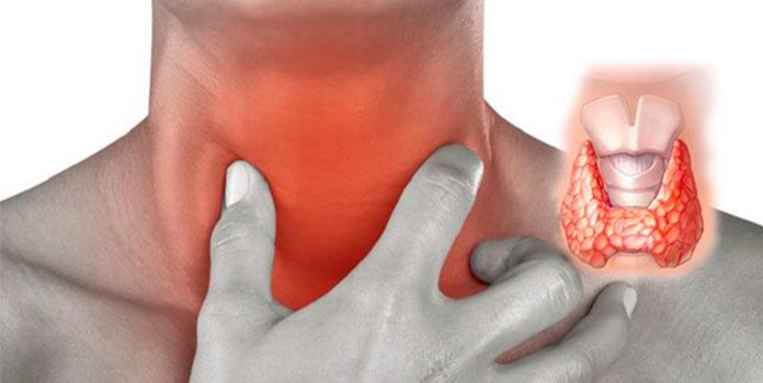Как забыть о проблемах со щитовидкой с помощью семян кориандра
