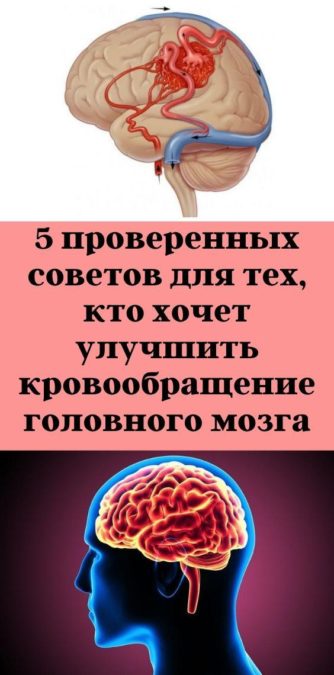 5 проверенных советов для тех, кто хочет улучшить кровообращение головного мозга